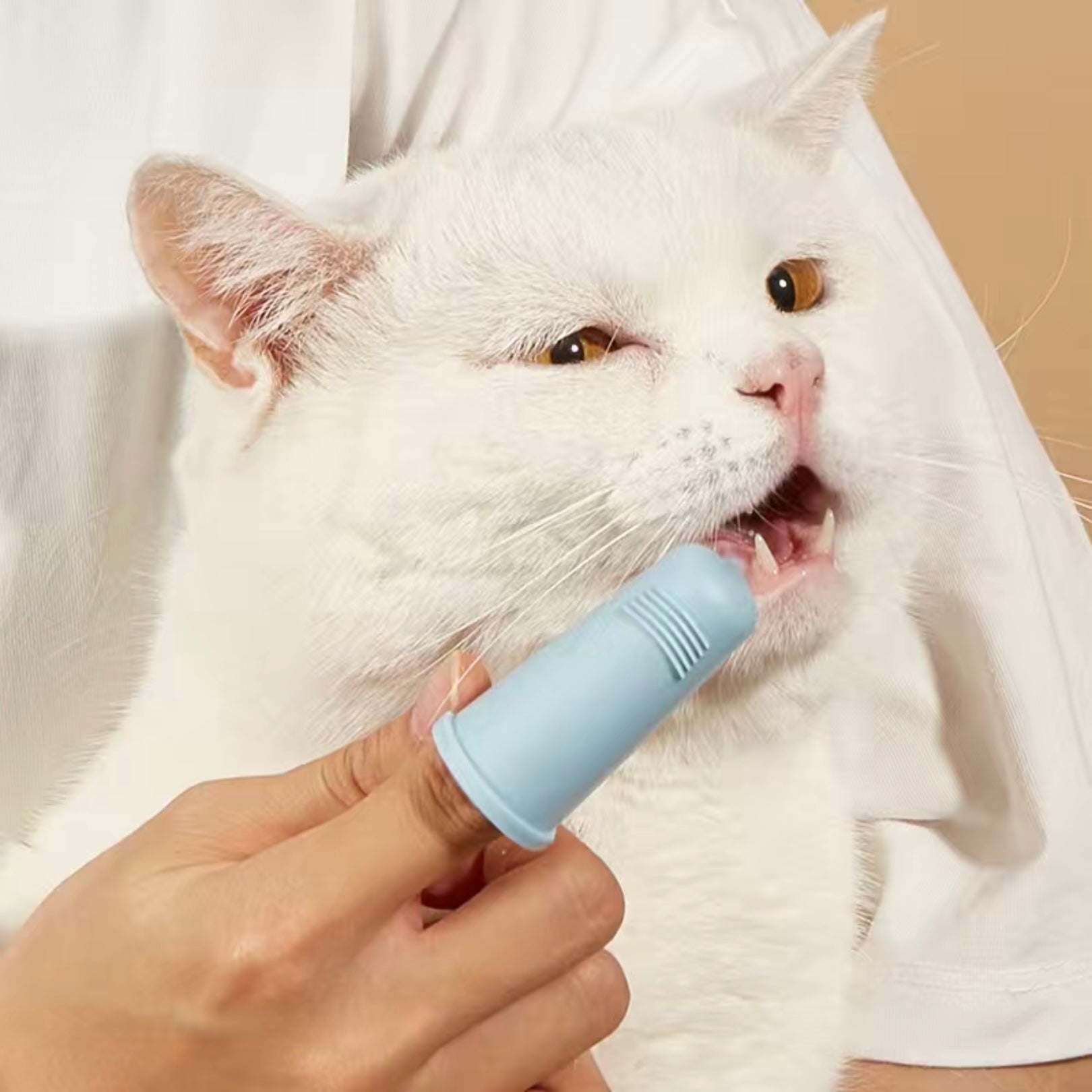 Cat finger outlet toothbrush