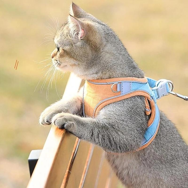 Adventurous Cat Leash and Harness