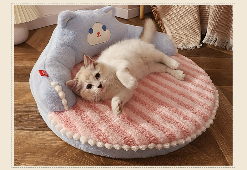 Teddy bear cat outlet bed