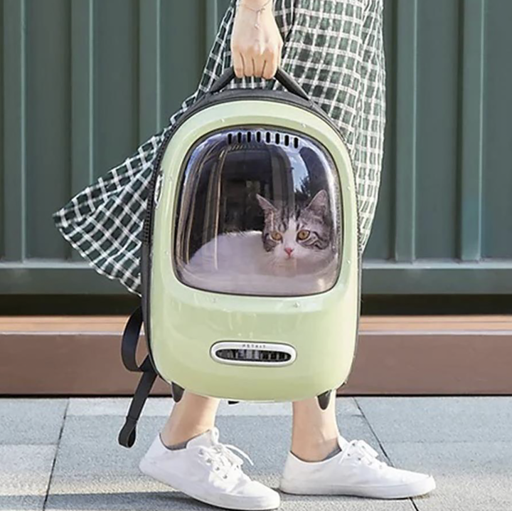 Dome backpack for clearance cats