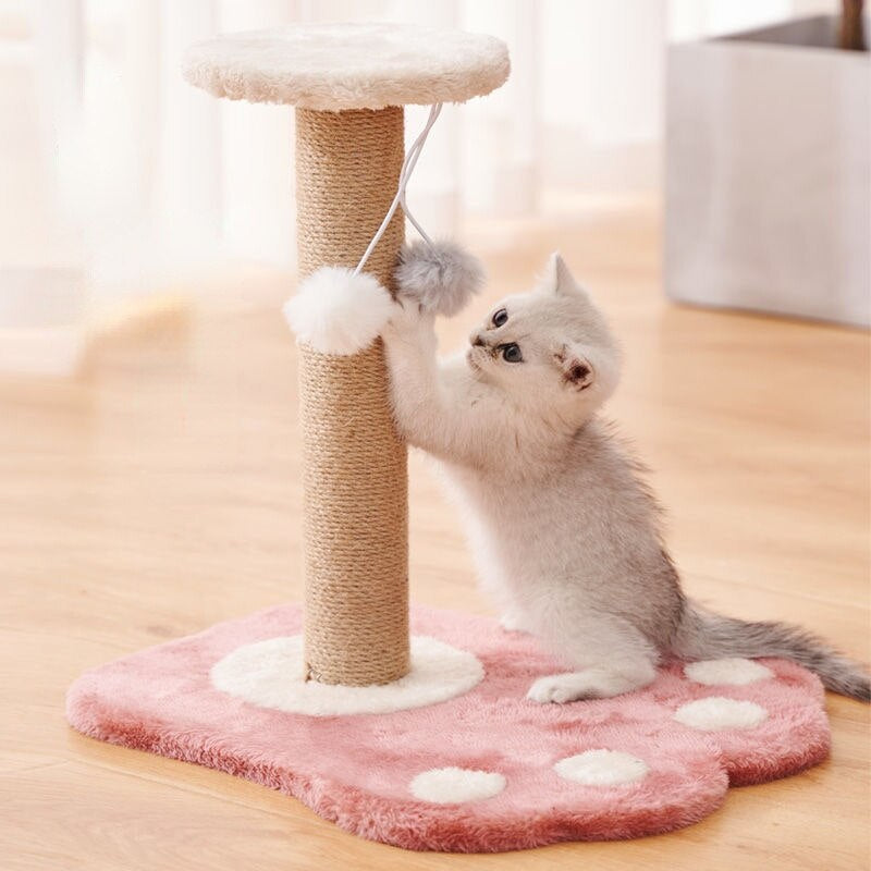 Pawtastic Scratching Post