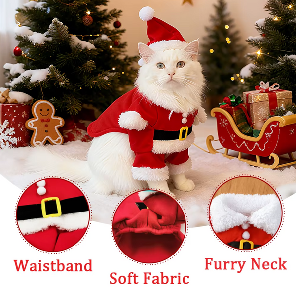 Purrfect Santa Cat Costume