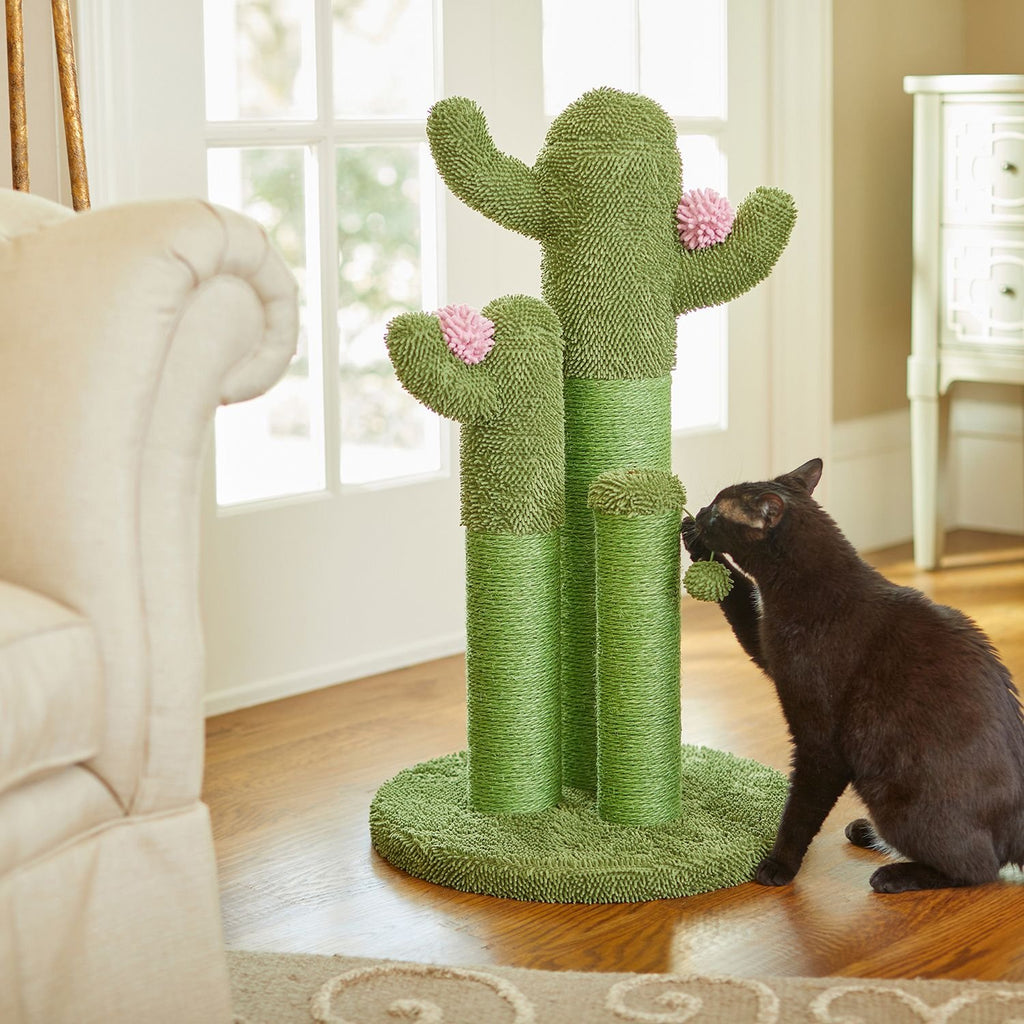 Cactus Cat Scratching Post CatCo