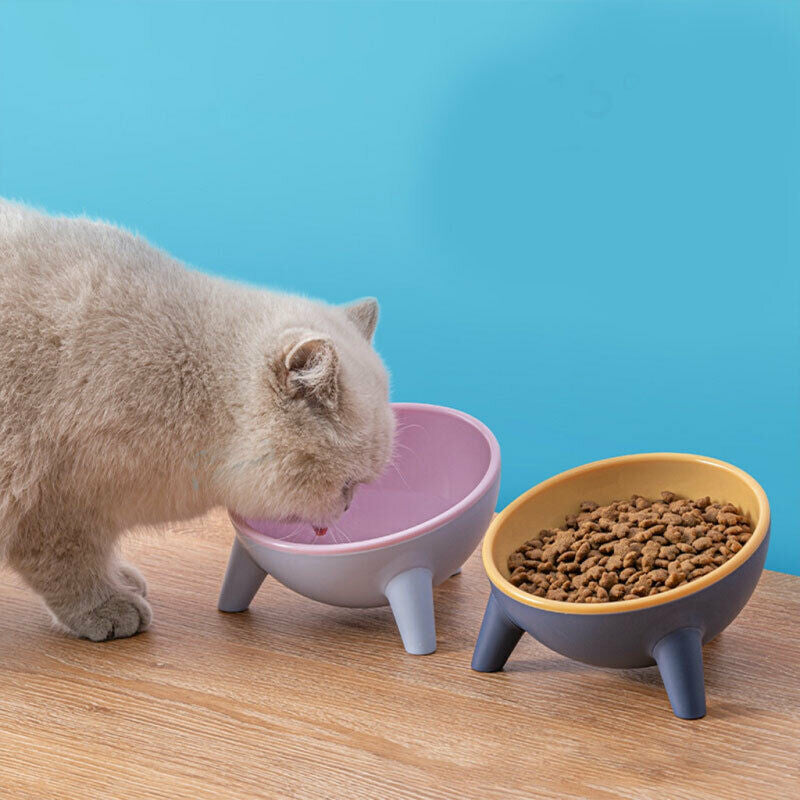 15° Tilt Cat Bowl With Stand