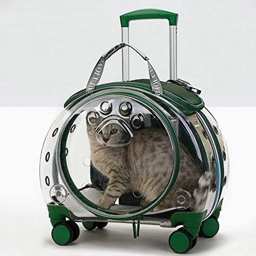 Cat Trolley Suitcase with Wheels