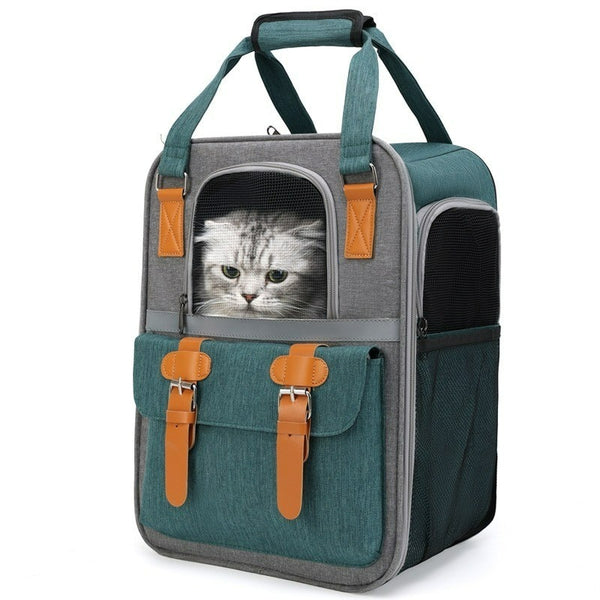 Fashion Color Matching Cat Bag