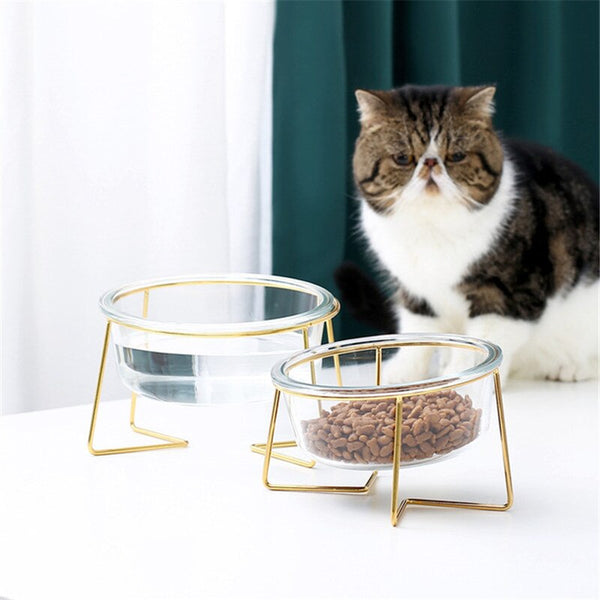 Raised Cat Bowls with Gold Stand